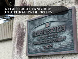 REGISTERED TANGIBLE CULTURAL PROPERTIES